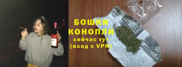 молекула духа Вязники