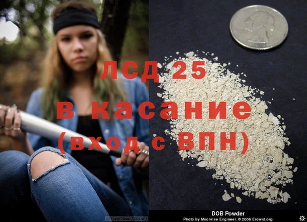 крисы Вязьма