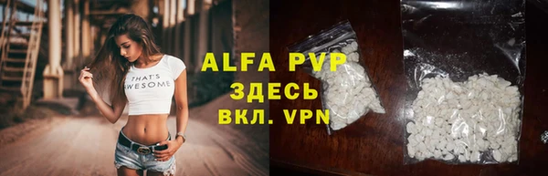 крисы Вязьма