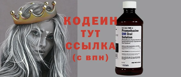 дурь Вяземский