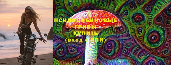 крисы Вязьма