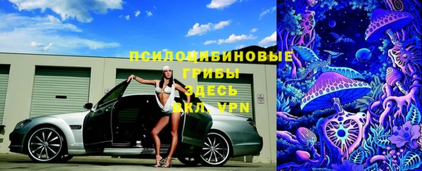 крисы Вязьма