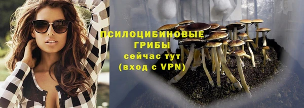 дурь Вяземский
