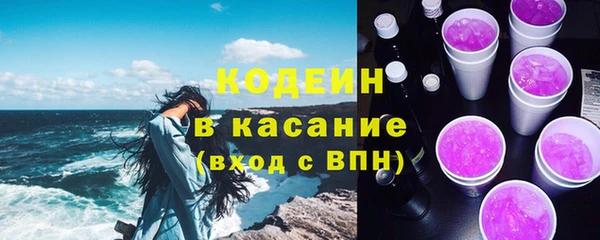 дурь Вяземский