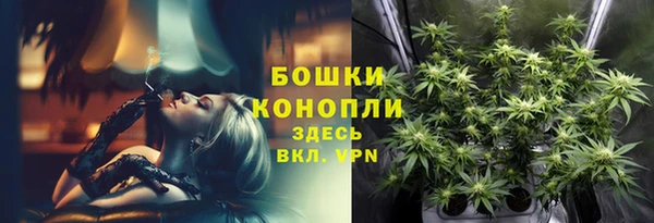 крисы Вязьма